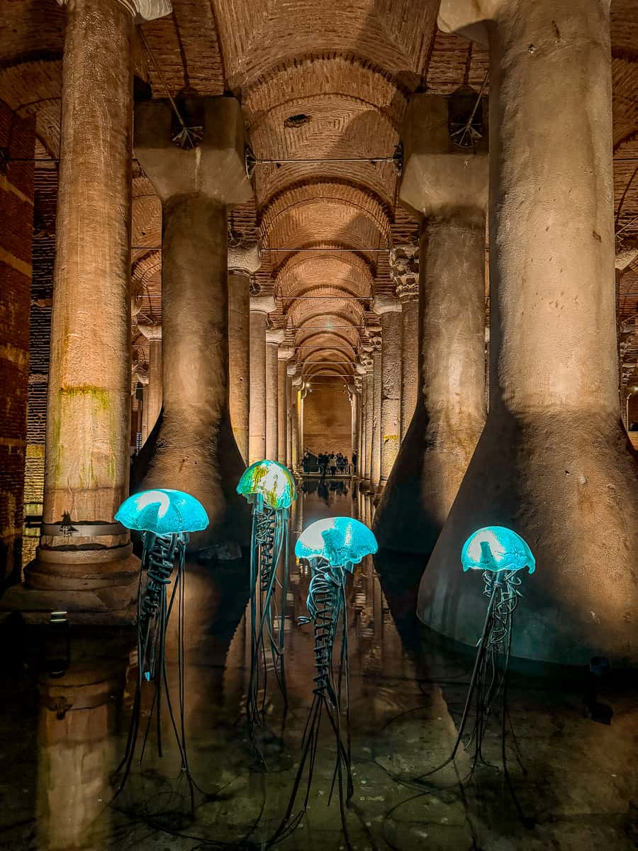 Basilica Cistern Istanbul Jellyfish 