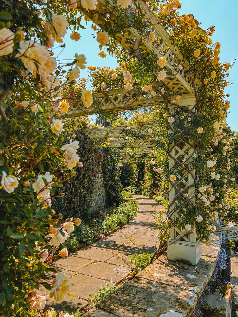 Bodnant Garden Rose Trellises