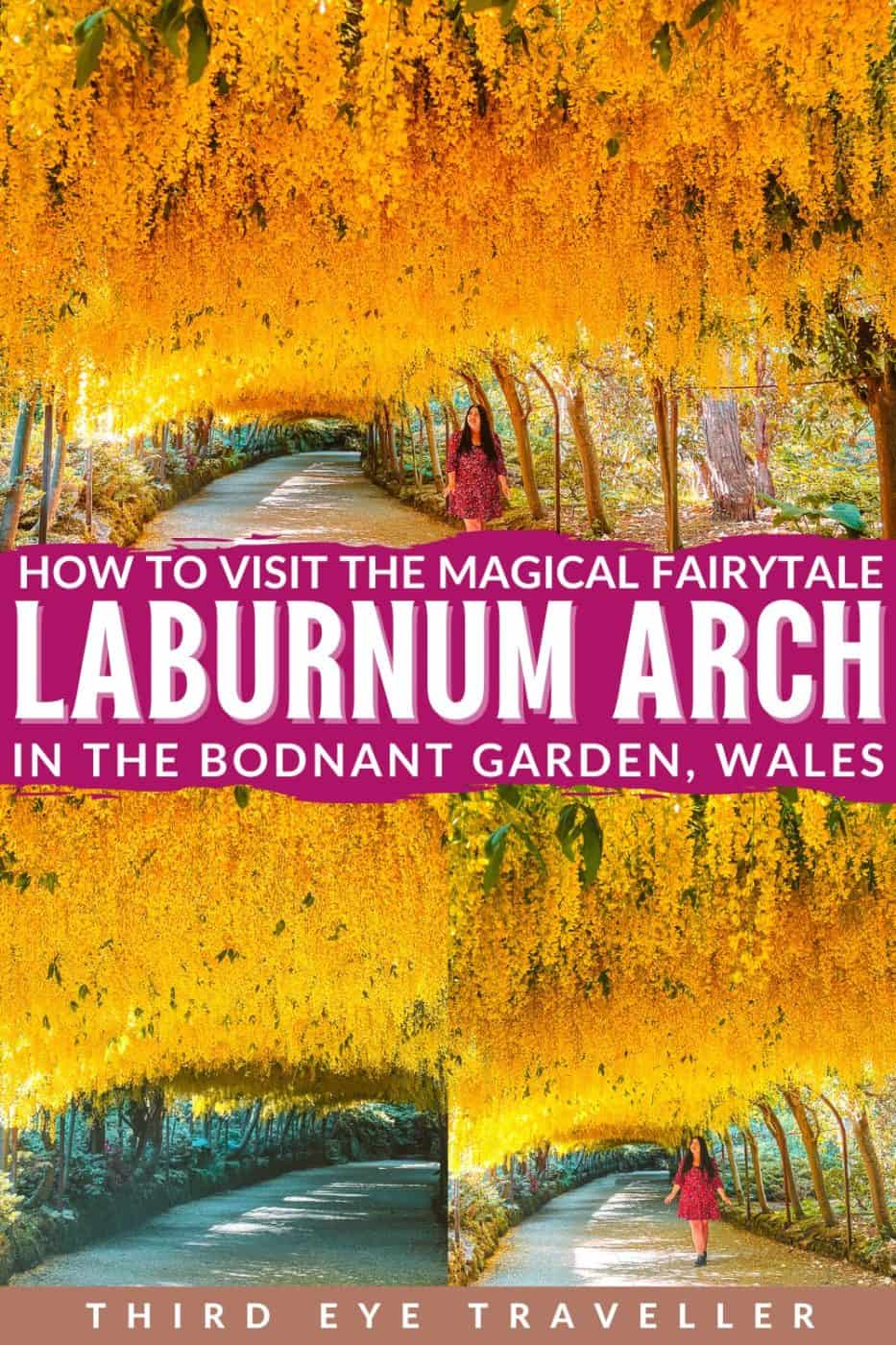 National Trust Bodnant Garden Laburnum Arch