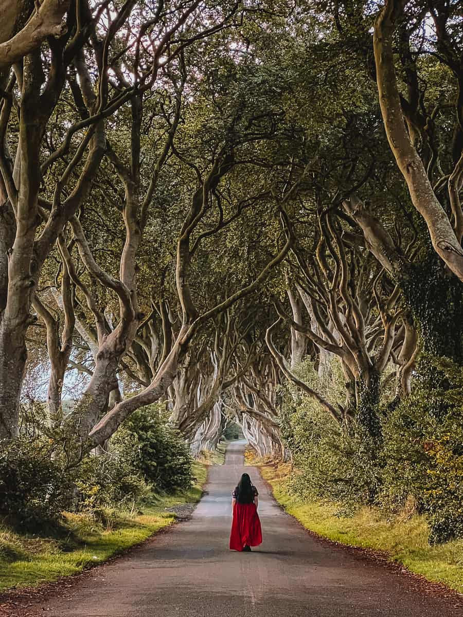 Kingsroad Game of Thrones