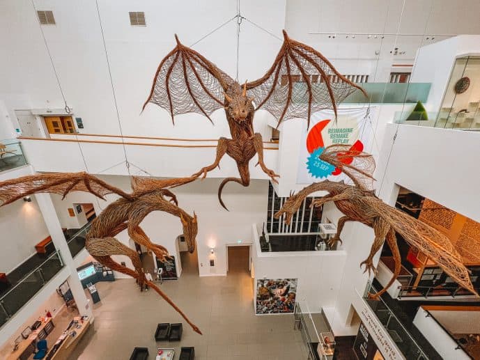 Ulster Museum Dragons