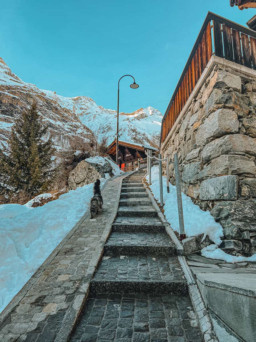 Nesta Step Challenge Zermatt! 