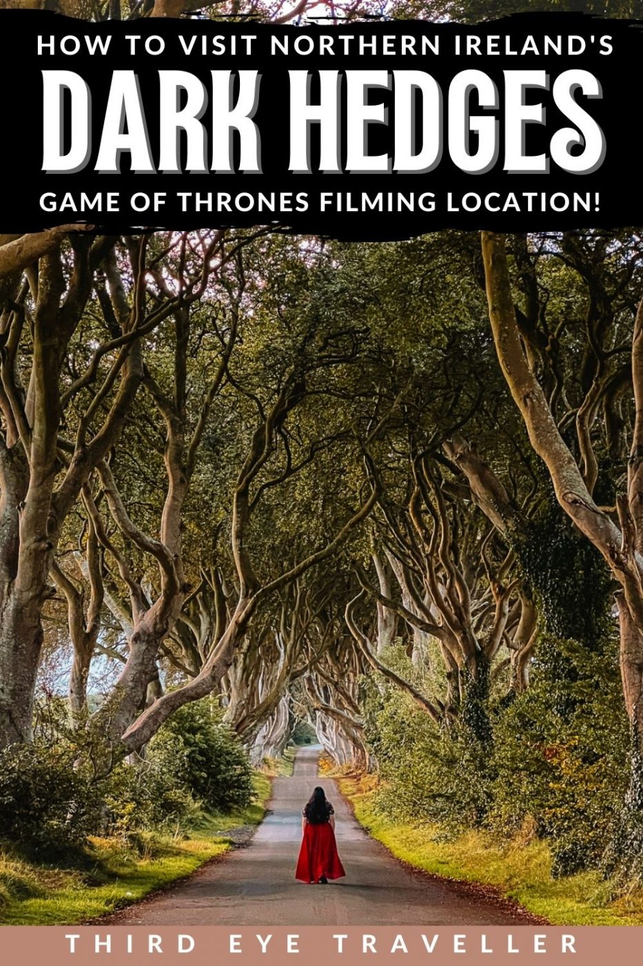 Kings Road Game of Thrones Dark Hedges Northern Ireland