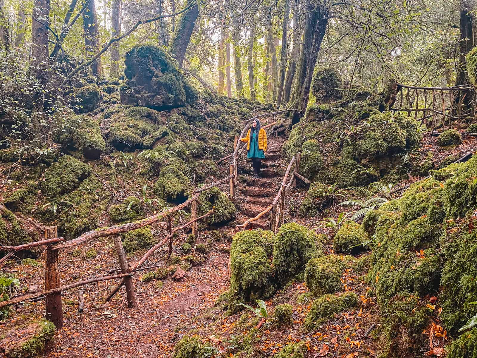 Merlin Puzzlewood Filming Location Forest of Dean