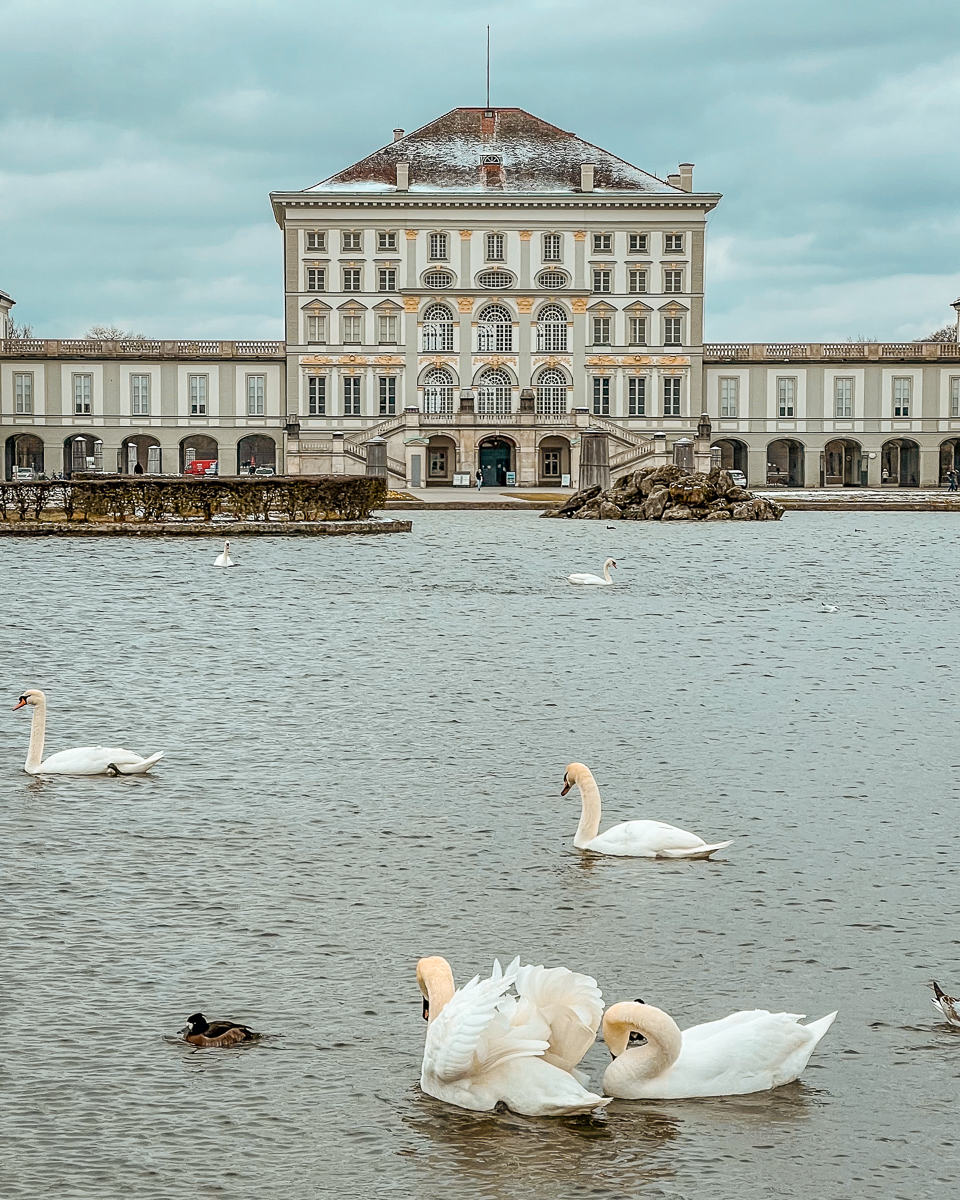 Swans Nymphenburg Palace