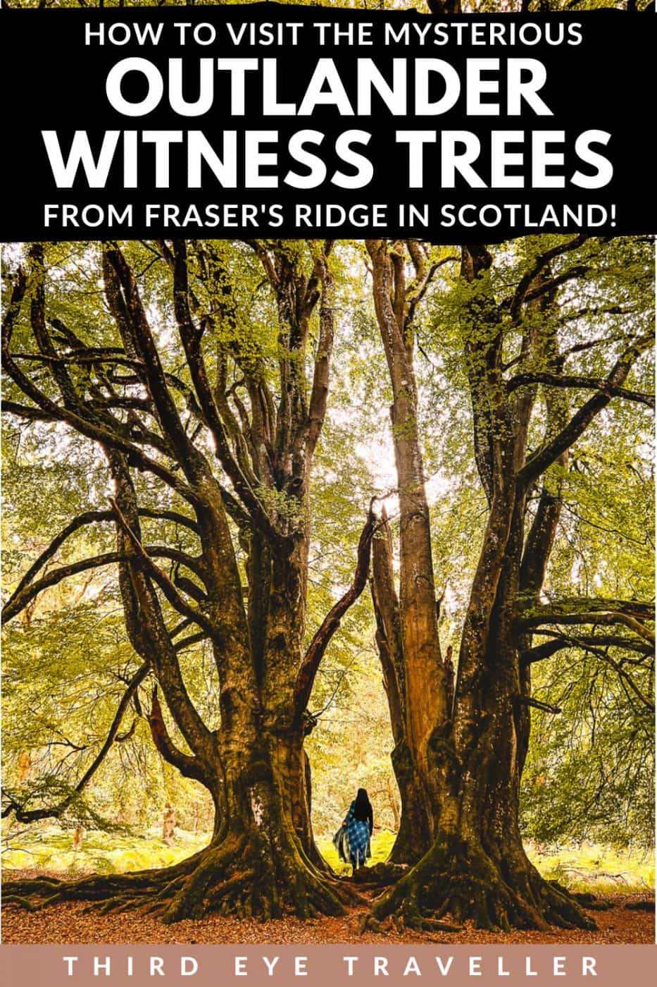 Outlander Witness Trees Kinclaven Bluebell Wood Scotland