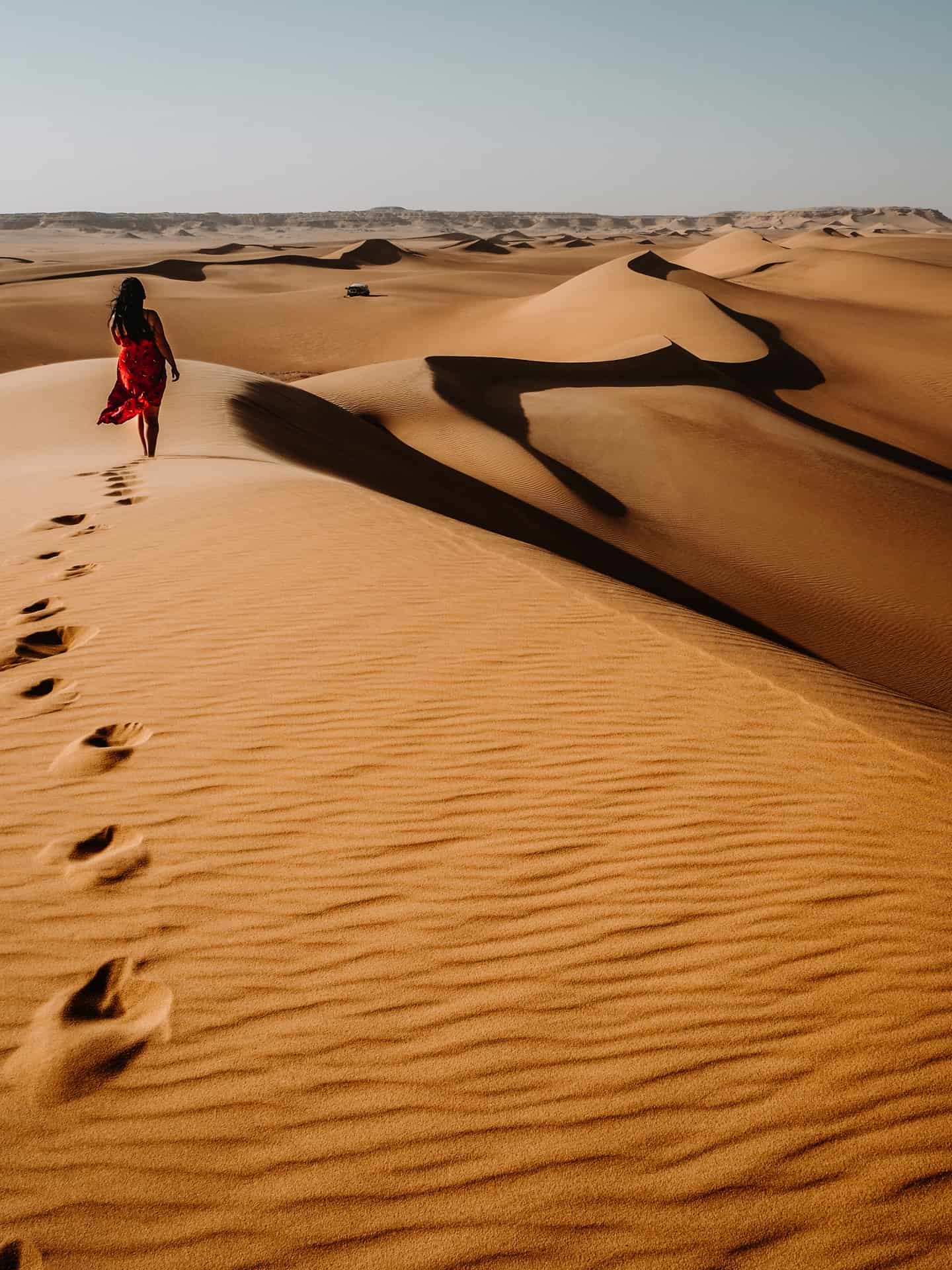 western desert tours egypt